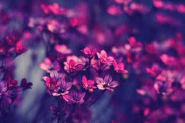 amazing women quotes bloom