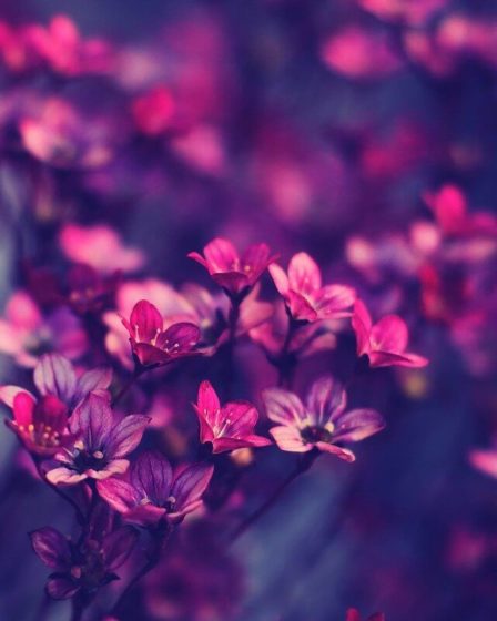 amazing women quotes bloom