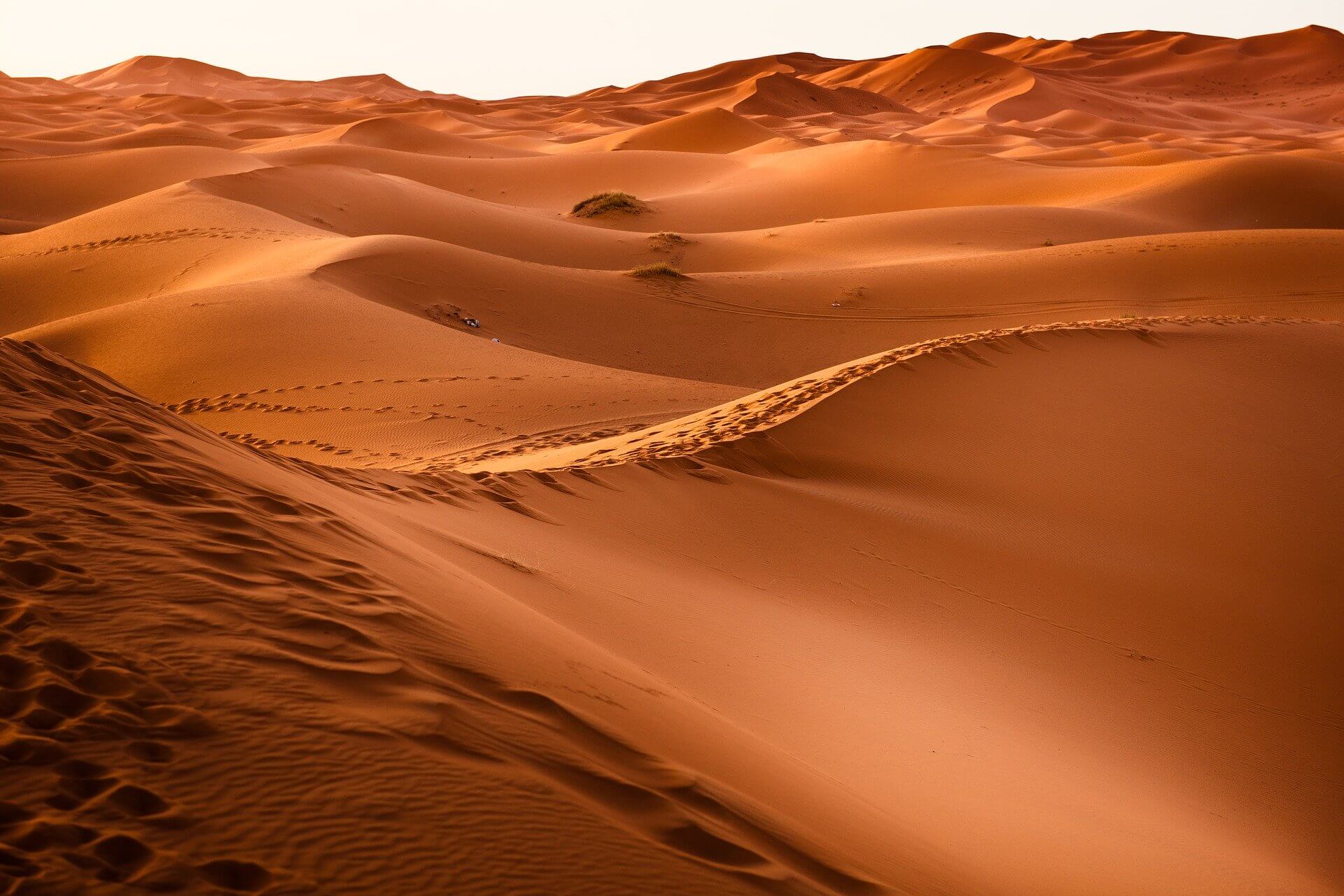 best quotes for women desert