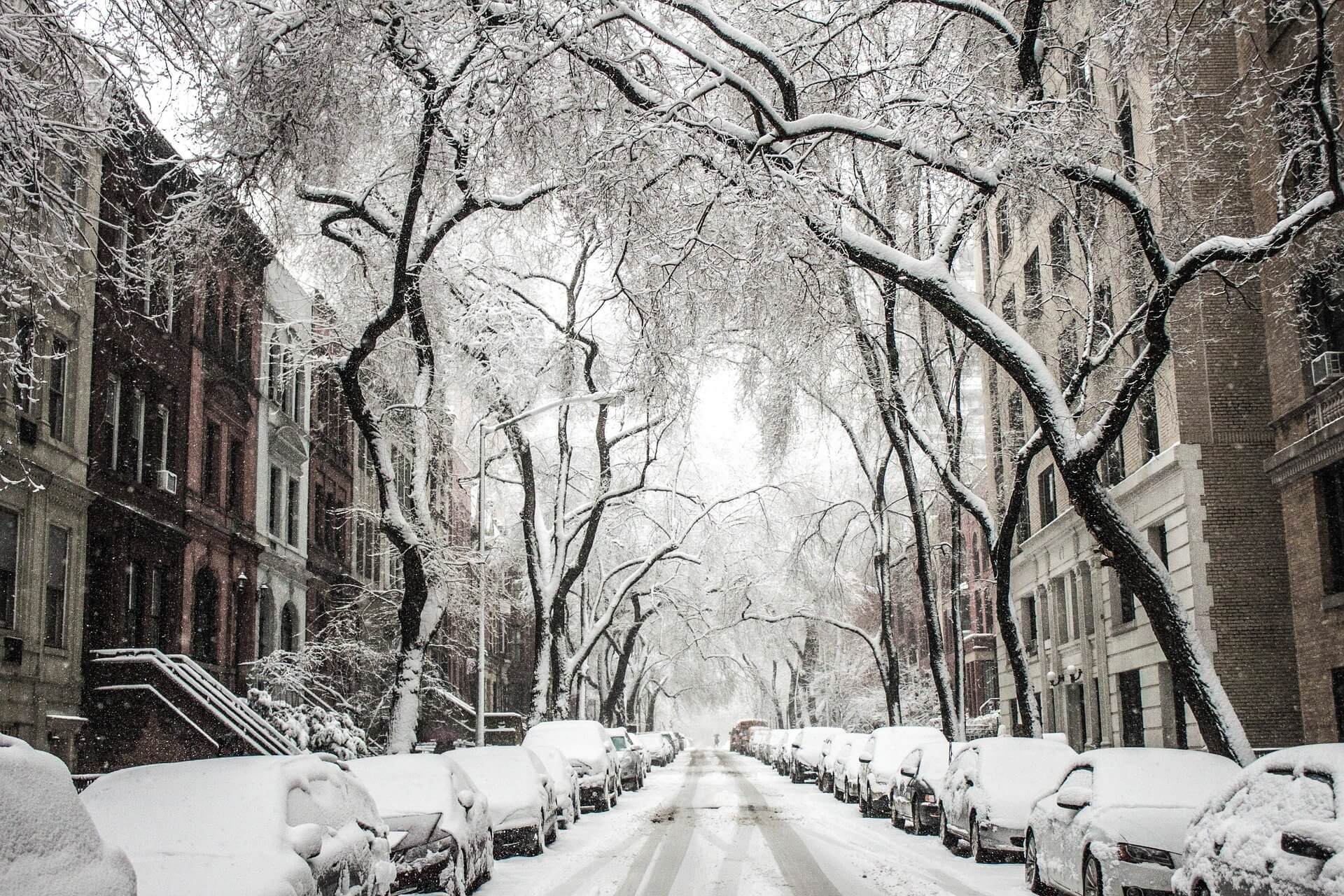 independent woman quote and saying snow