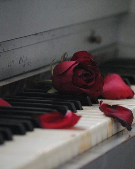 strong women quotes rose piano flower sad heartbreak